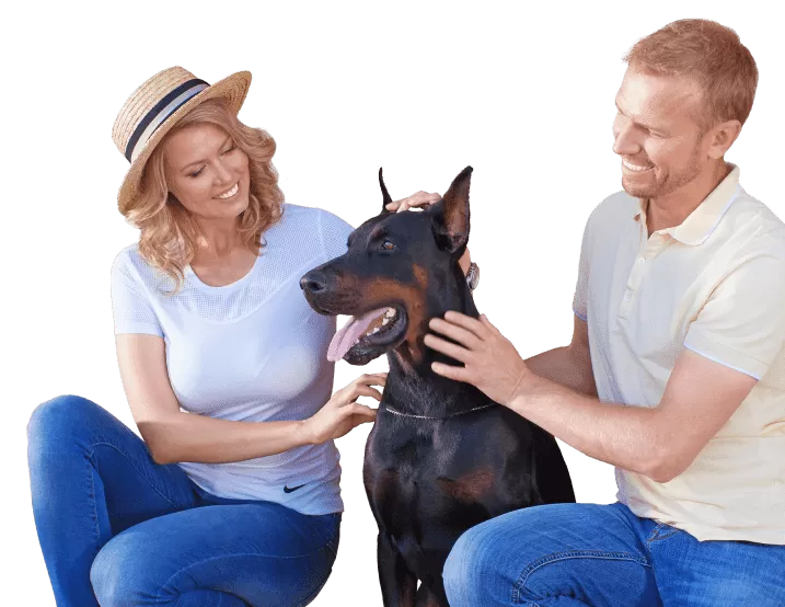 Серия Prestige — для тех, кто заботится о будущем поколений, выбирая энергоэффективные конструкции Серия Prestige — для тех, кто заботится о будущем поколений, выбирая энергоэффективные конструкции